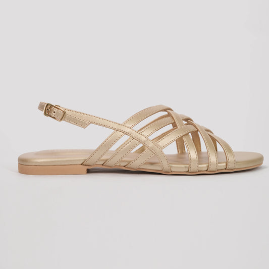 Lune Premium - Golden